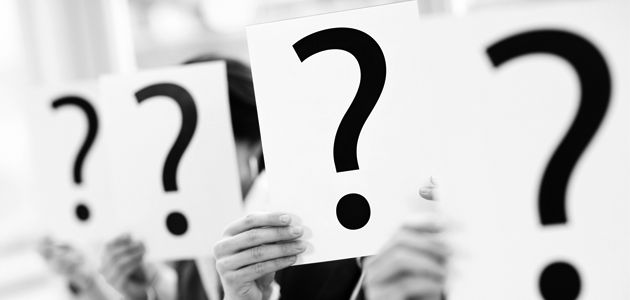 Translation agency Mamblin