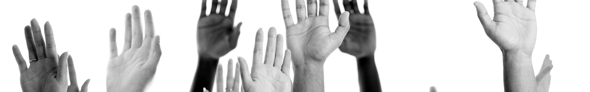 translation proofreading